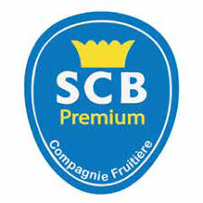 Scb